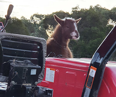 driving the tractor Size and Lifesan